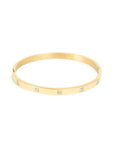 A&C OSLO ARMBAND BANGLE CZ STEEL 14K_92882.jpg