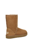 UGG BOOTS CLASSIC SHORT II CHESTNUT_100518.jpg