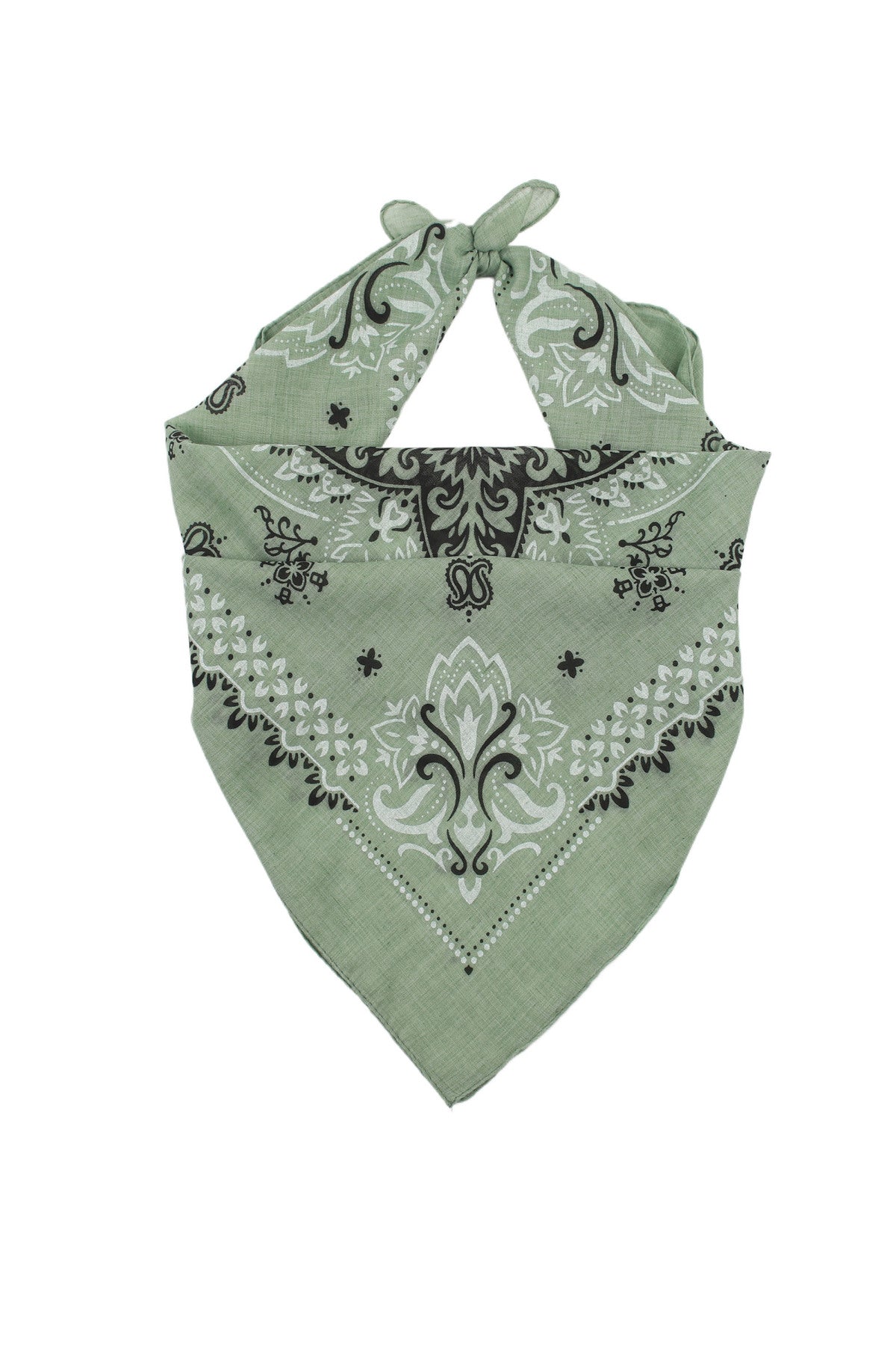 SJAL PAISLEY PRINT CHIC KHAKI_107768.jpg